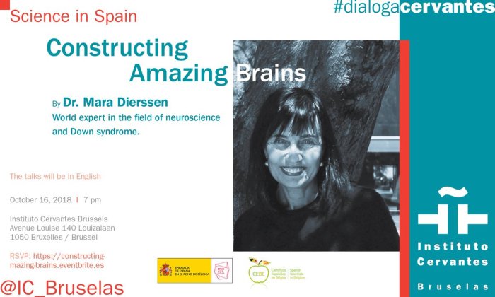 Spanish Influencers: Constructing amazing brains - 16 Octubre 2018
